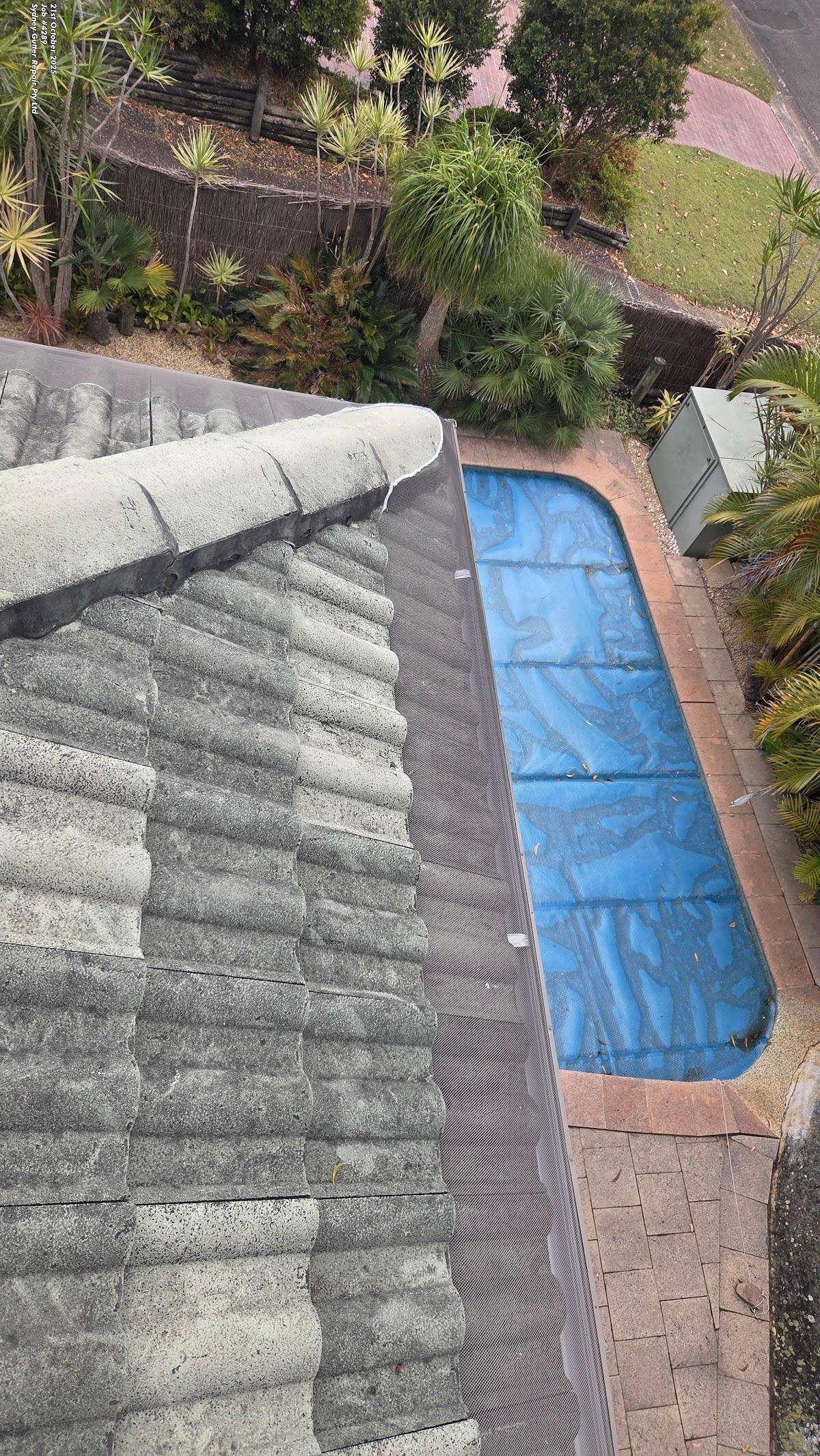 Sydney Gutter Repair
