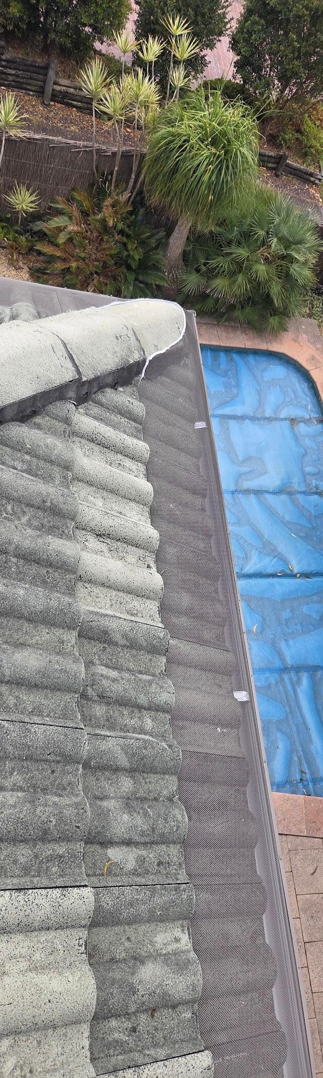 Sydney Gutter Repair