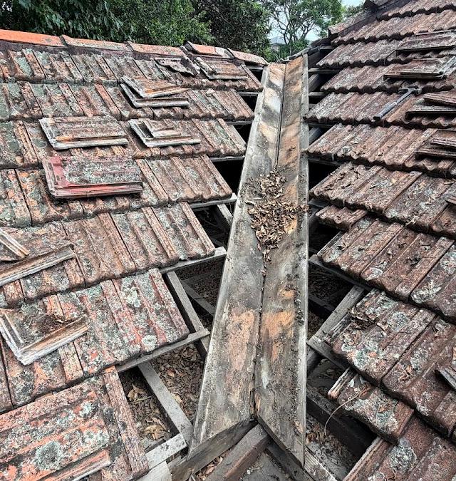 Sydney Roofers