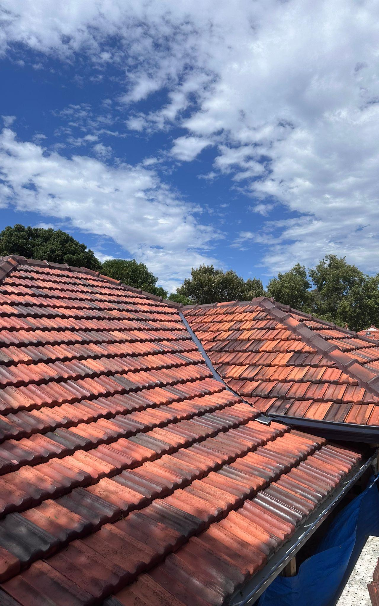 Tarzan's Roofing Solutions