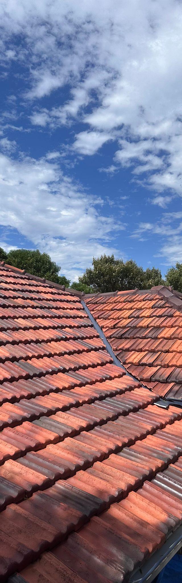 Tarzan's Roofing Solutions
