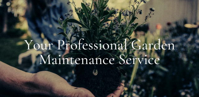 The Garden Men