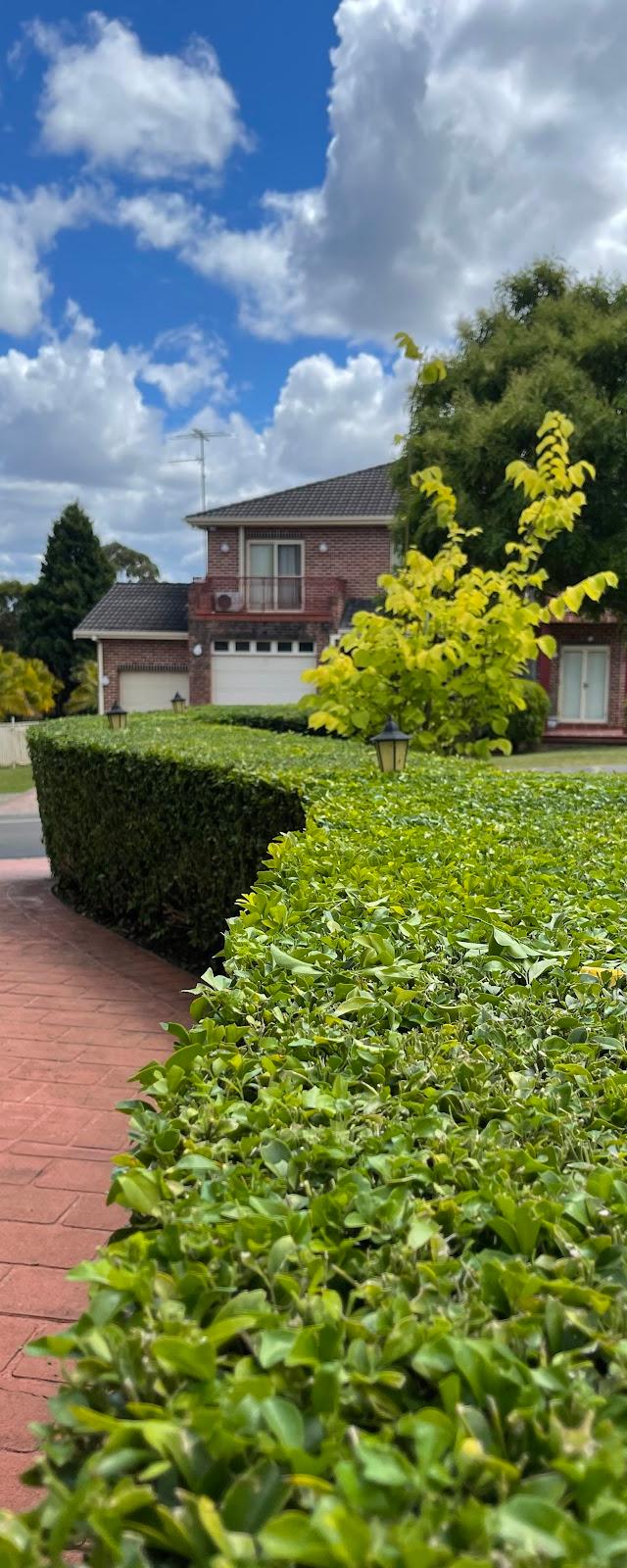The Hills Hedge Man