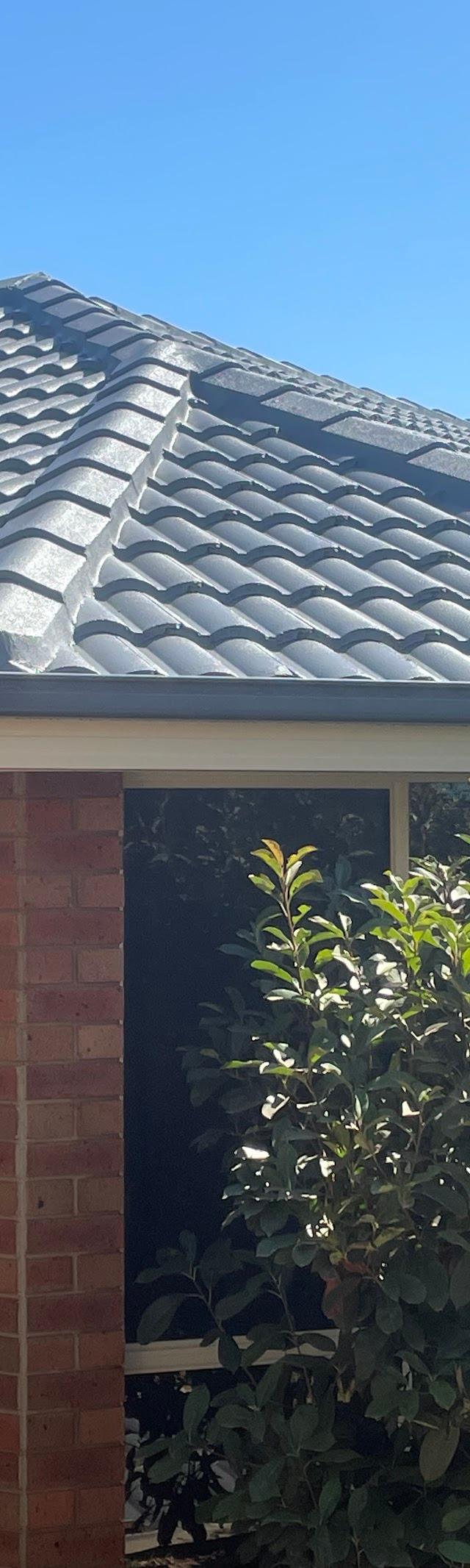 The Roof Reviver