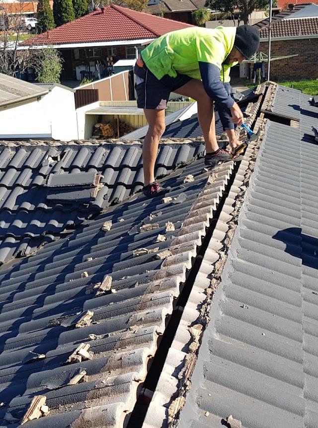 The Roofing Professionals Westside