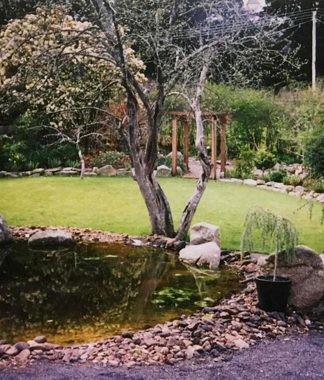 The Whole Garden