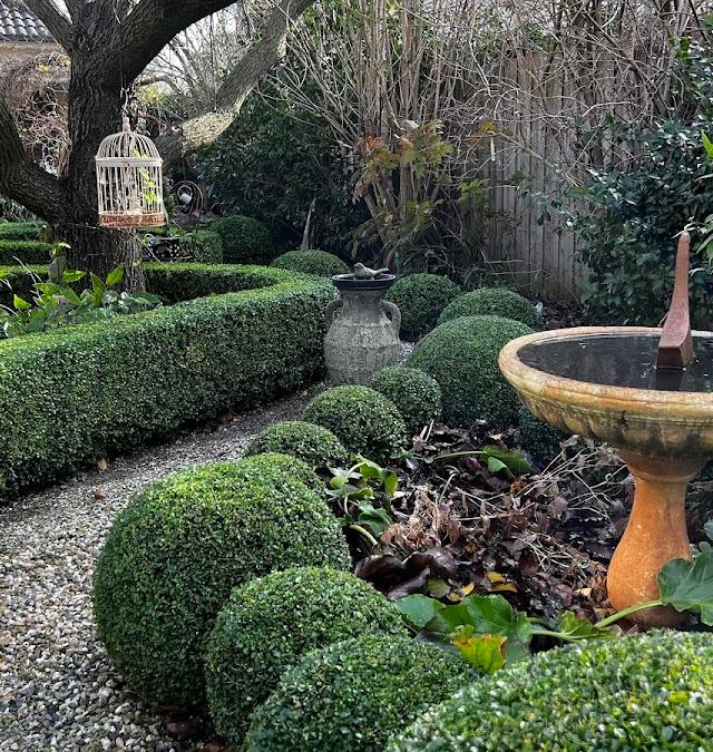 Tom Lever Gardens