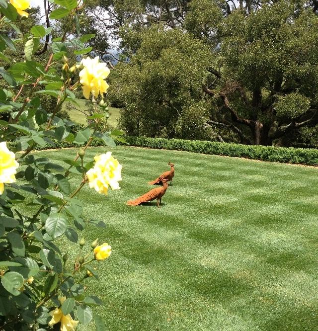 Turf 2 Trees Horticulture