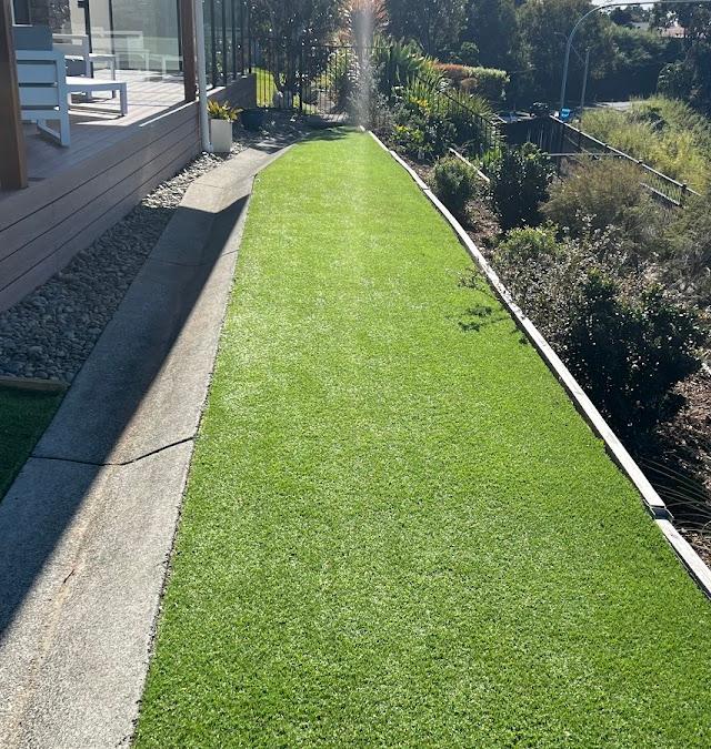 Urban Food Forest