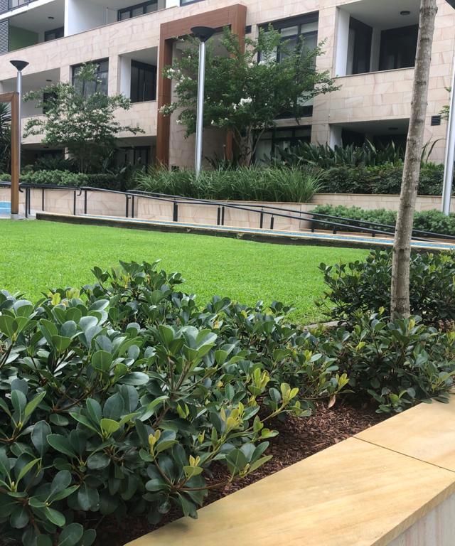 Urban Form Garden Management