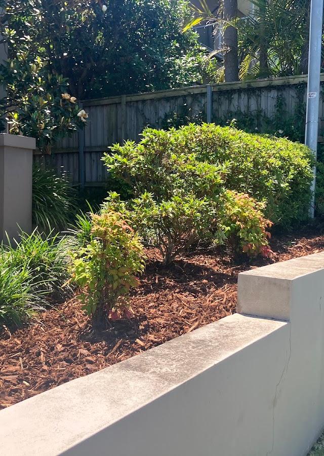 Urban Growth Gardening Services