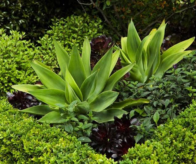 Van Leeuwen Green Horticultural Services