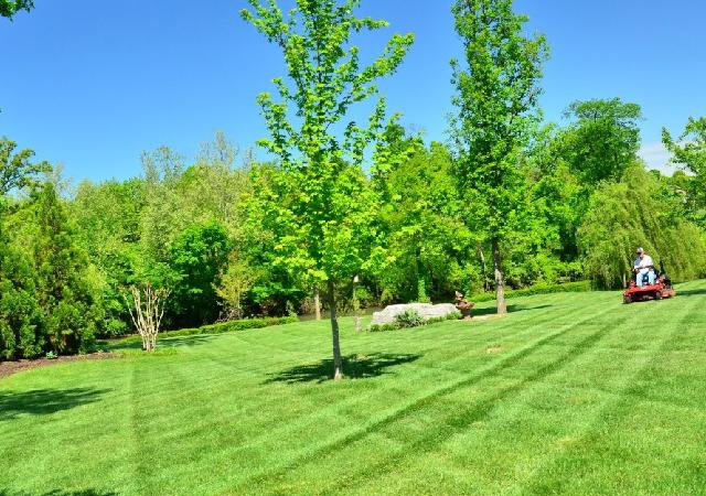 Vic Turf & Landscape Solutions