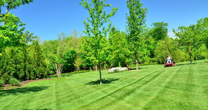 Vic Turf & Landscape Solutions