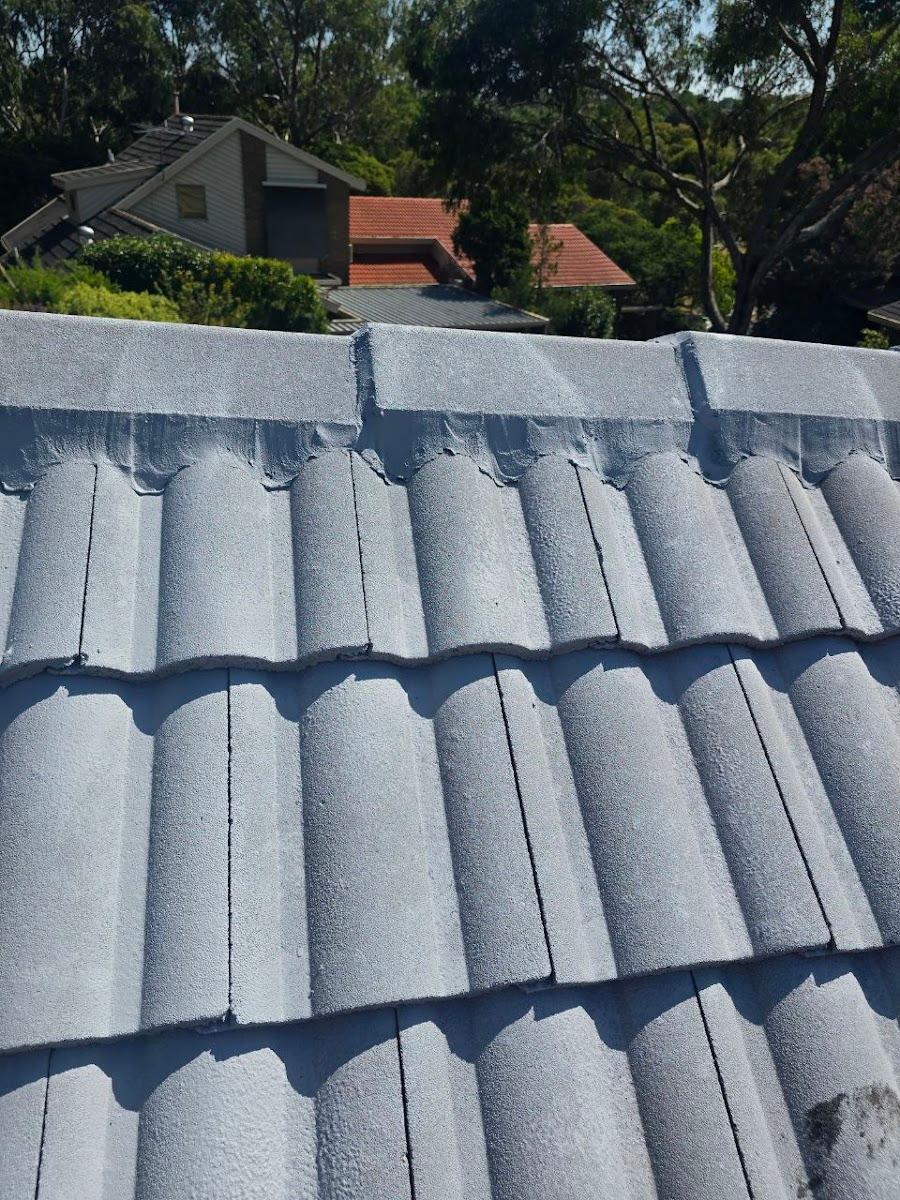 Vicroofing Services & Maintenance