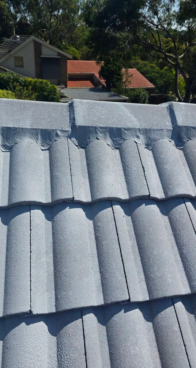 Vicroofing Services & Maintenance