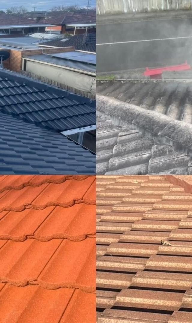 Victoria roof paint and guttering
