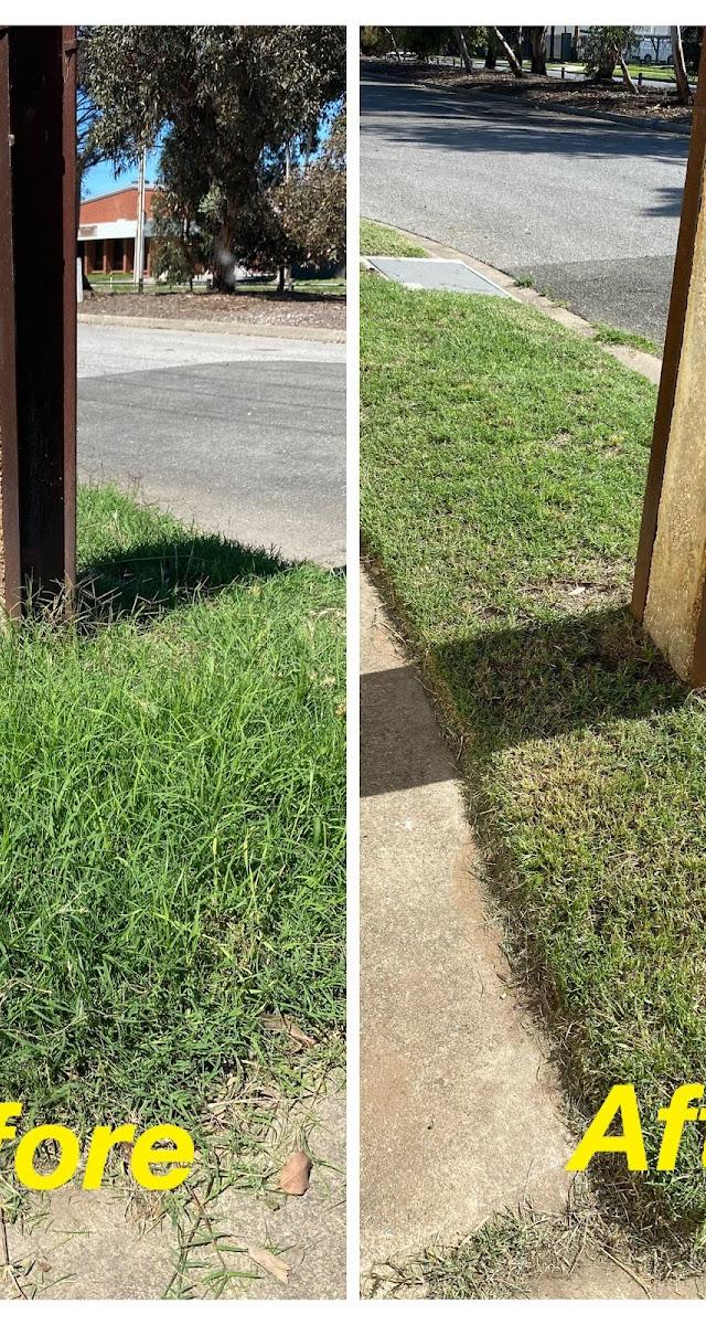 Vision Landscaping and Gardening