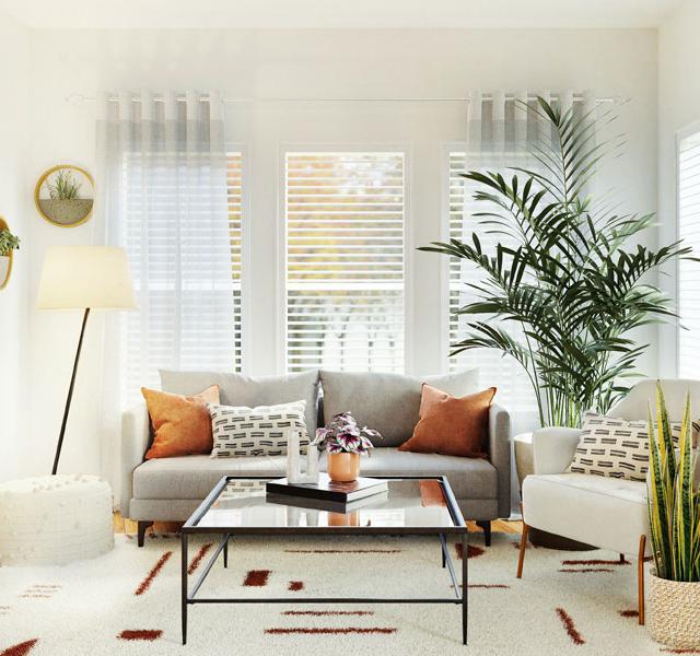 Vision Painting Professionals