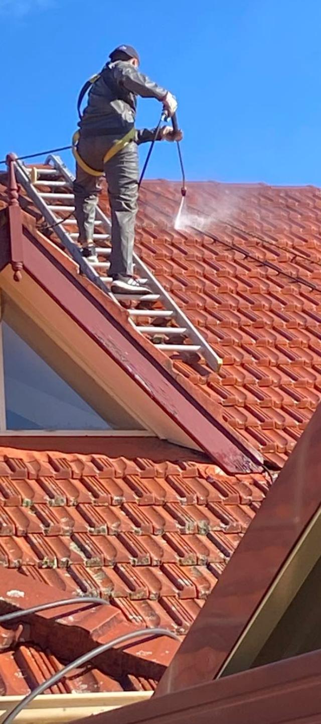 Wedge tailed roof repairs