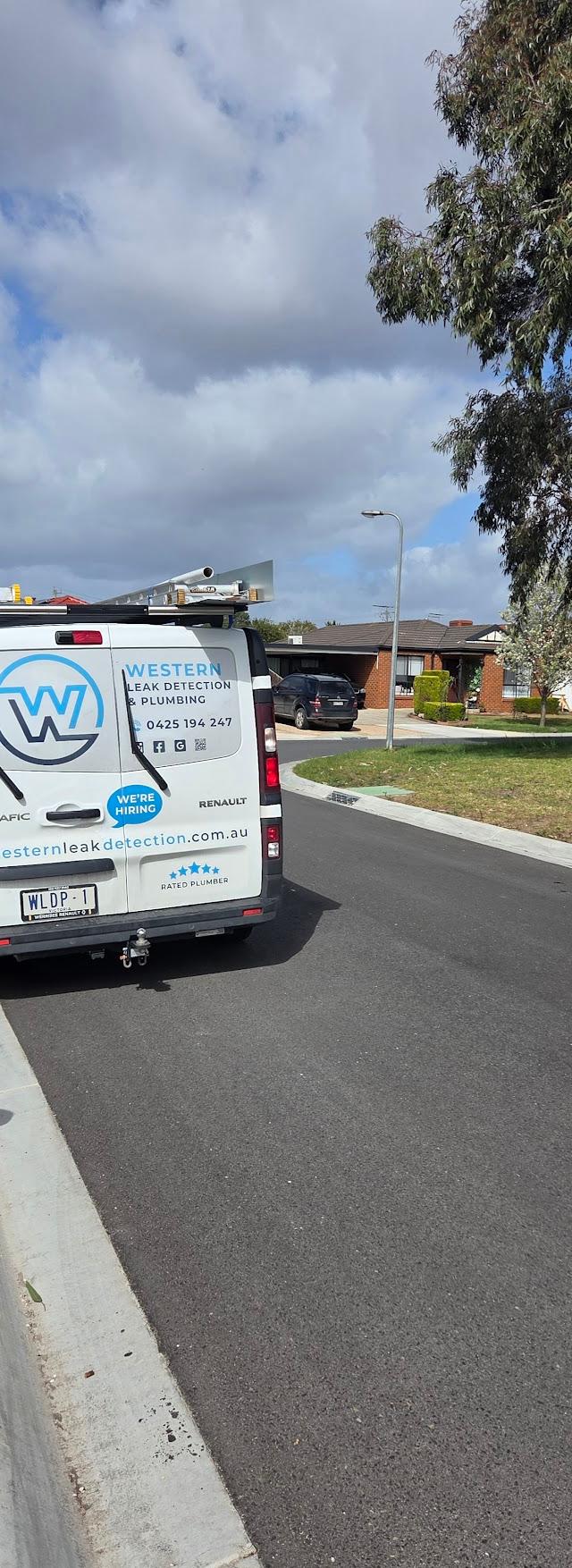 Western Leak Detection & Plumbing