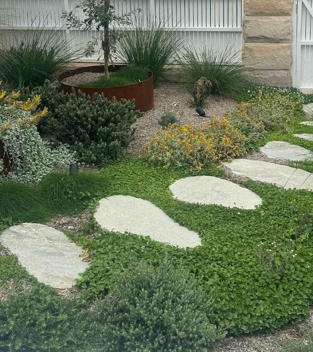 Whittaker Landscapes