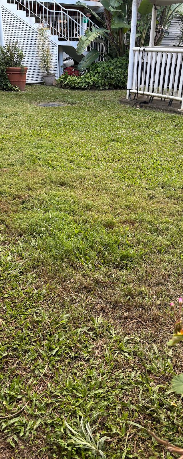 Whole Yards
