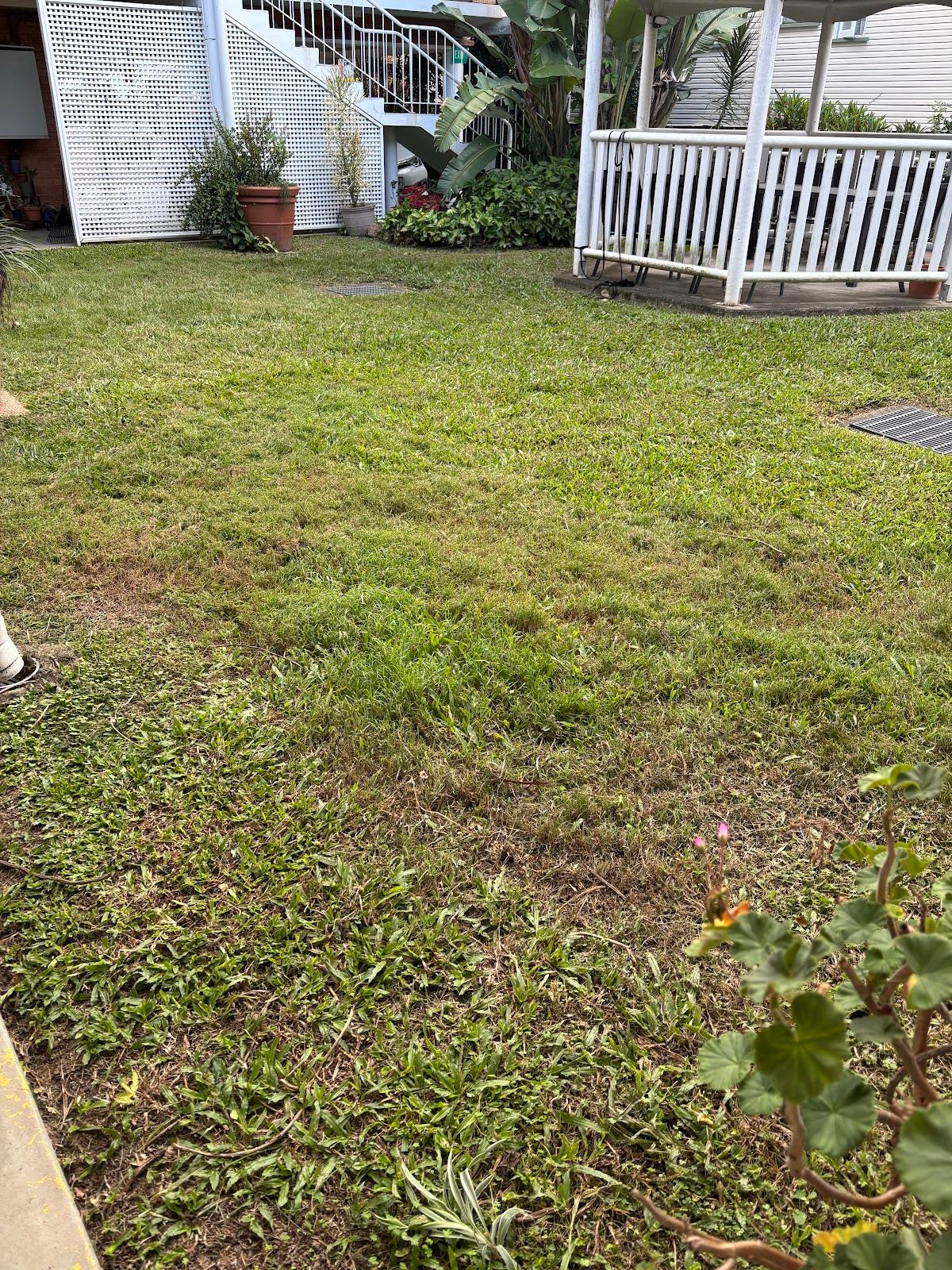Whole Yards