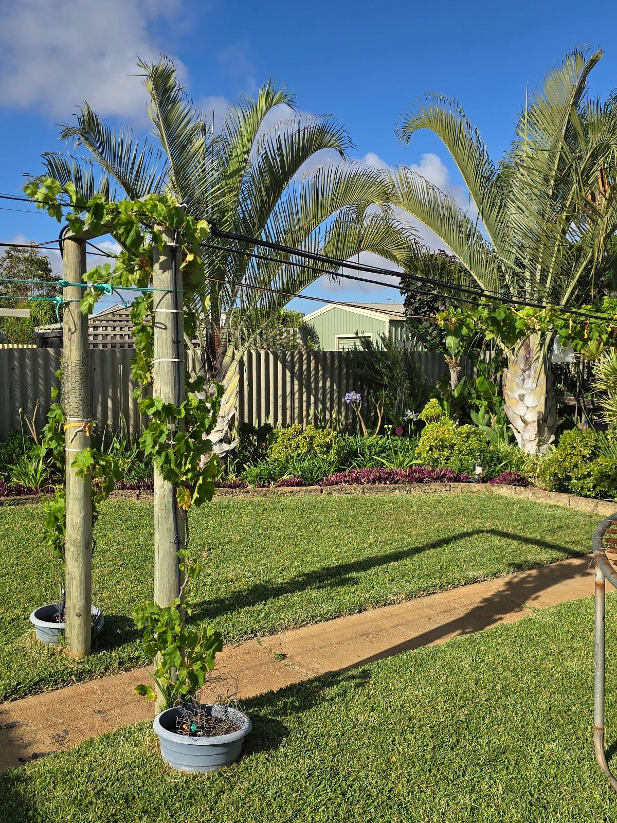 Willo's Landscaping & Maintenance