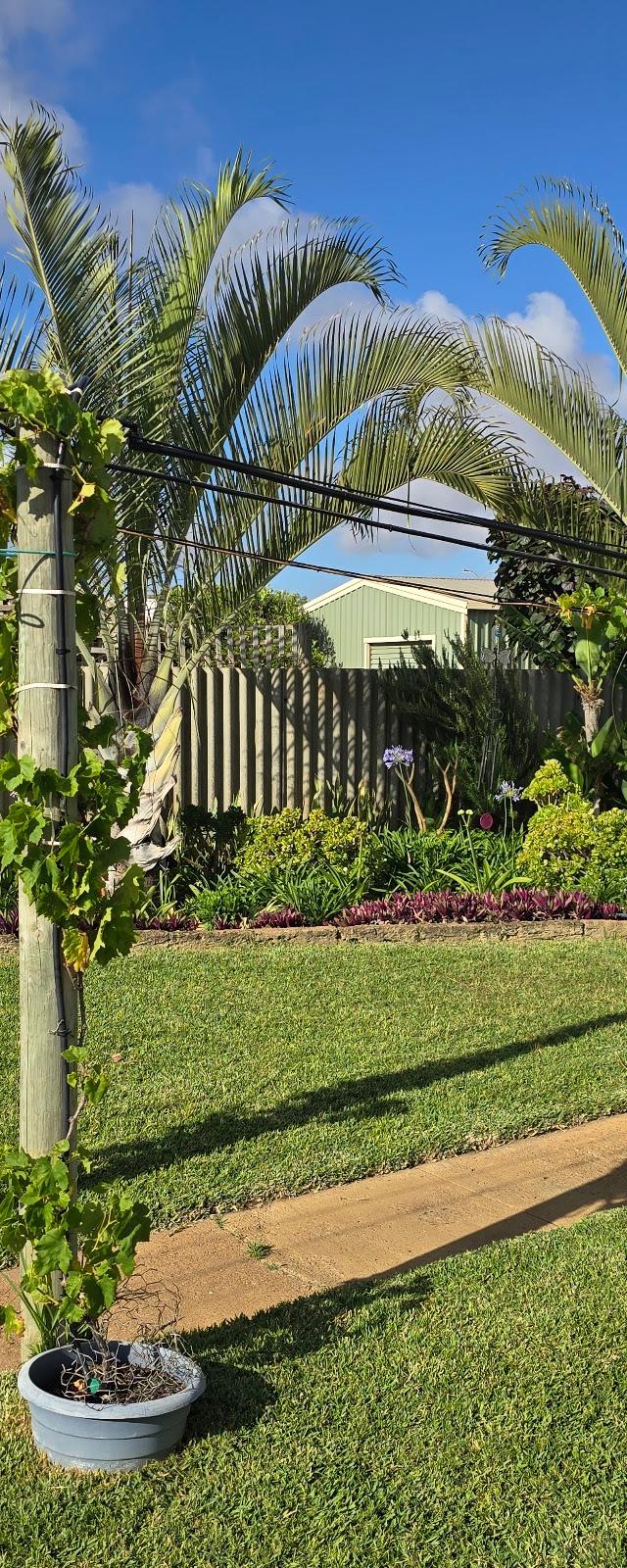 Willo's Landscaping & Maintenance