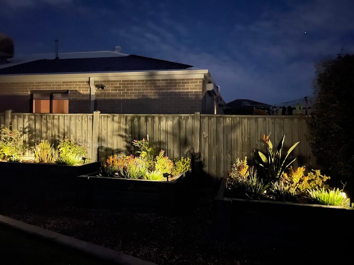 WP Electrical