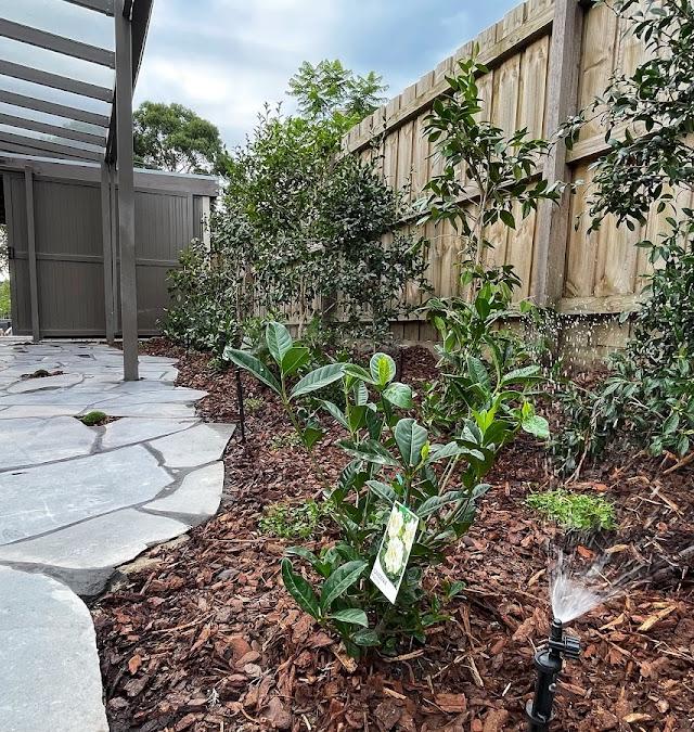 X Landscaping
