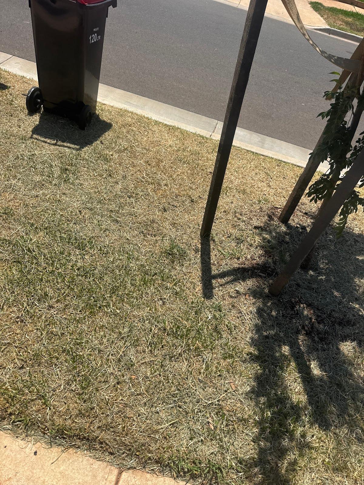 Your Grass Mower