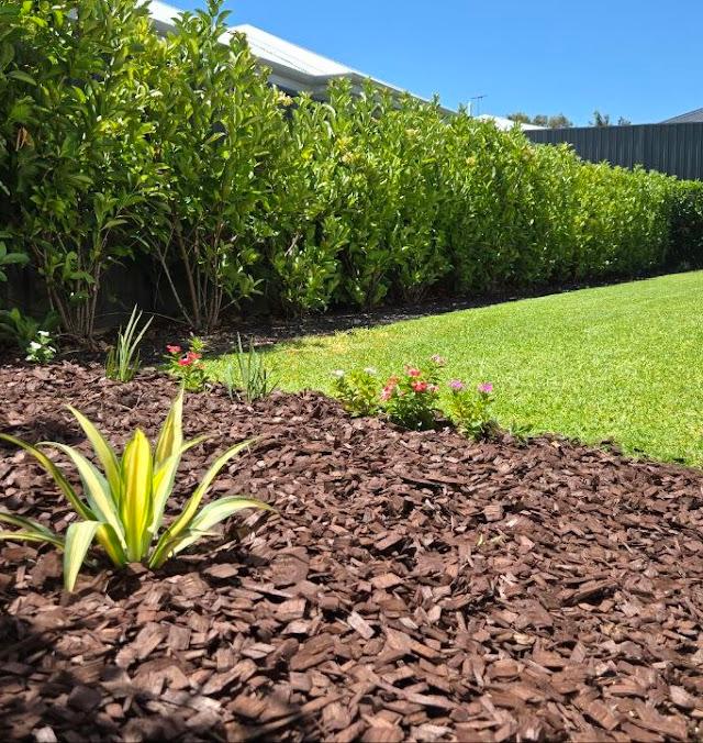 Zenith Premier Gardens